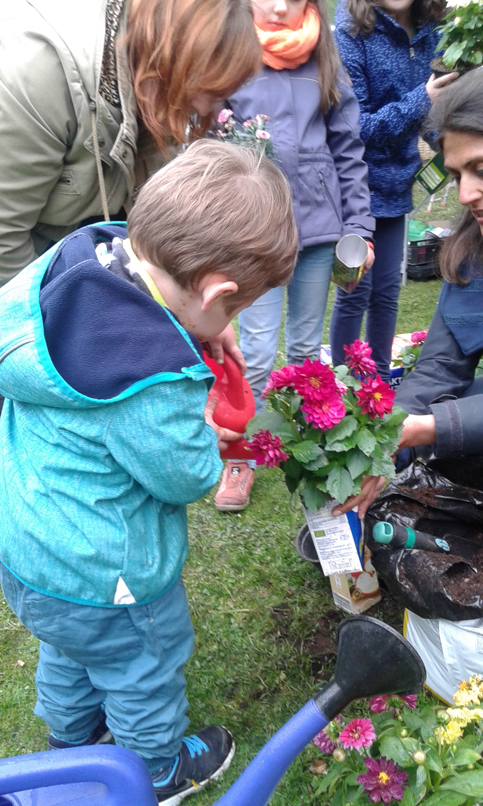 Ein Kind bepflanzt mit anderen Personen gemeinsam ein Beet mit pinken Blüten.