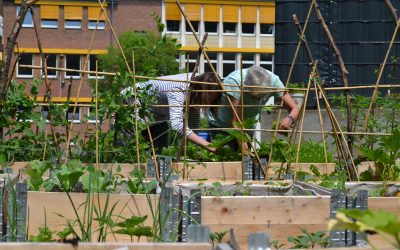 Es grünt so grün im Westgarten