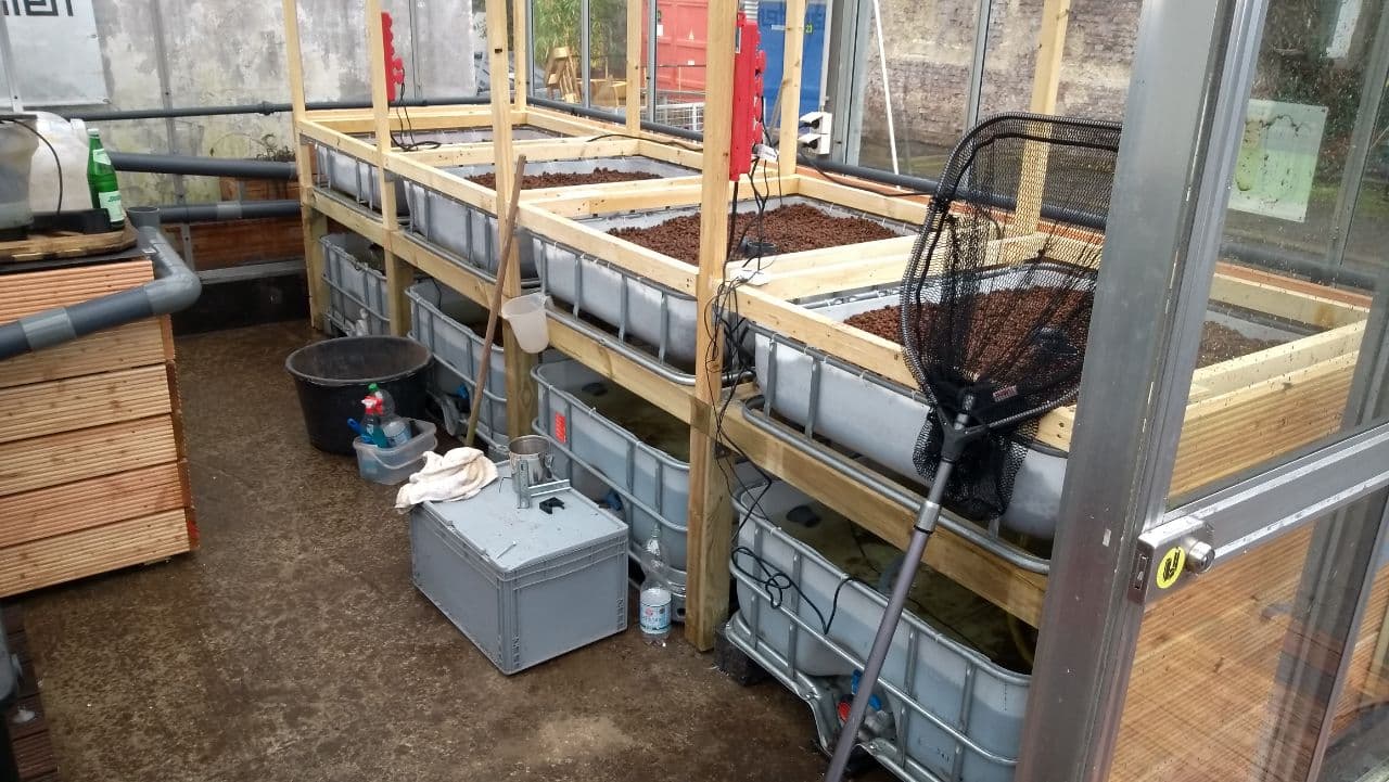 Gewächshaus mit mehreren Hochbeeten aus Holz und Behältern für Urban Gardening.