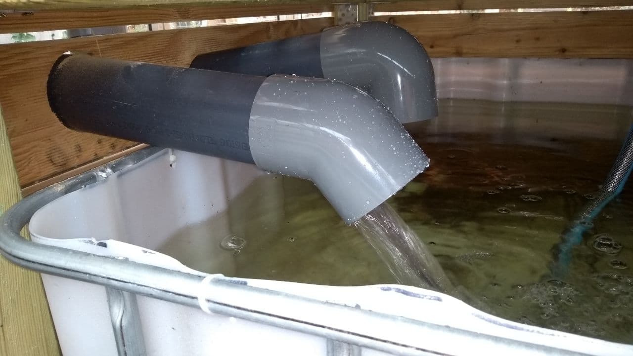 Wasser fließt aus einem schwarzen Rohr in ein weißes Becken mit grünlichem Wasser.