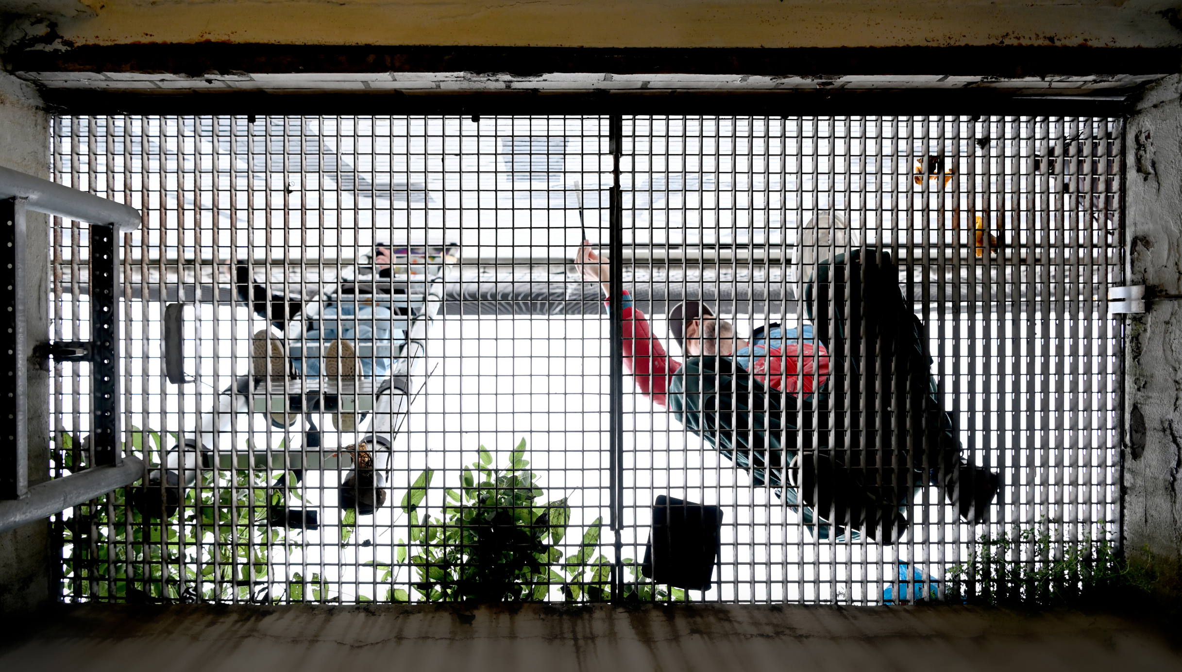 Blick durch ein Metallgitter auf eine Terrasse mit Personen und Pflanzen.