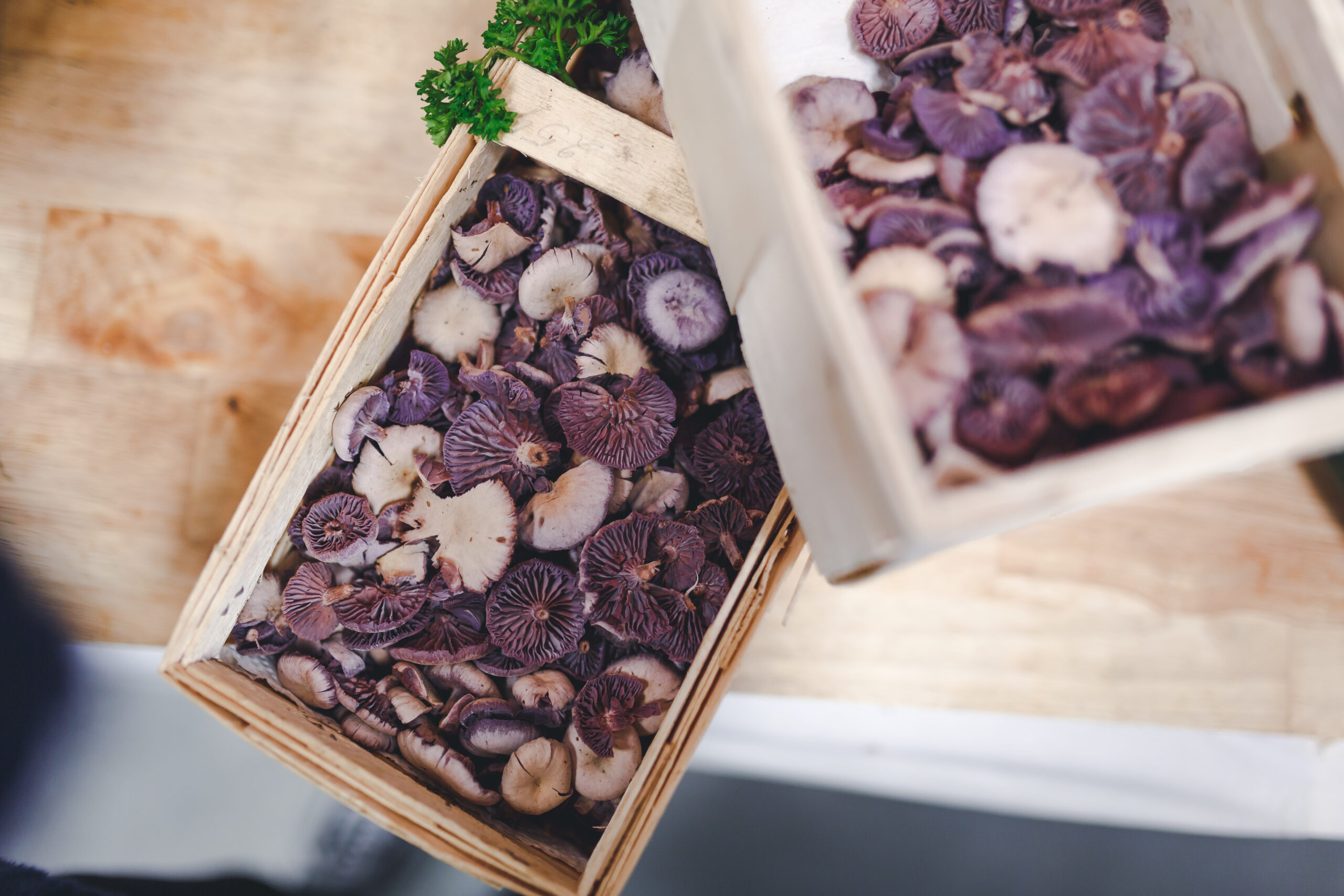 Geschnittene violette Pilze in Holzrahmen mit Petersilie und weiteren Pilzen im Hintergrund.