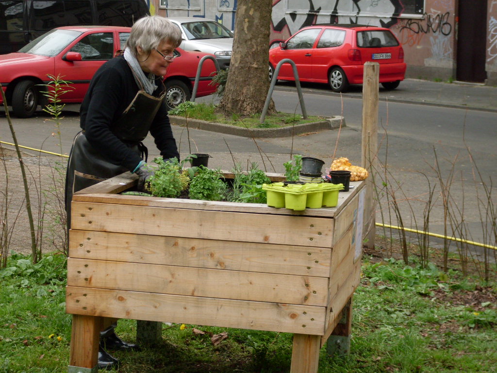 Ältere Frau arbeitet an erhöhtem Holzbeeten mit Pflanzen auf öffentlichem Grünstreifen.