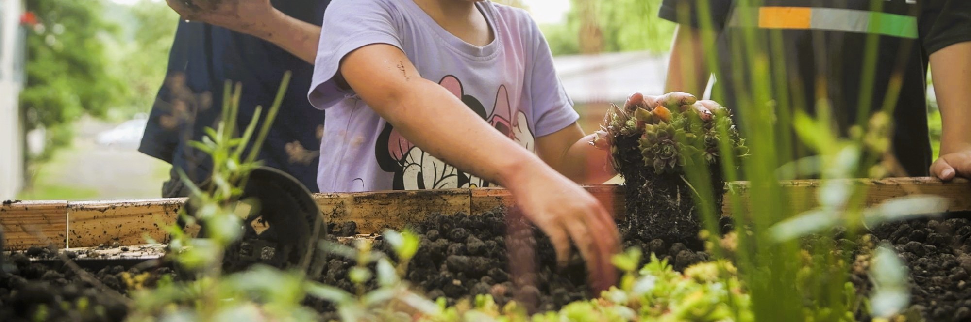 Gemeinsame Aktionen in der Schwammstadt