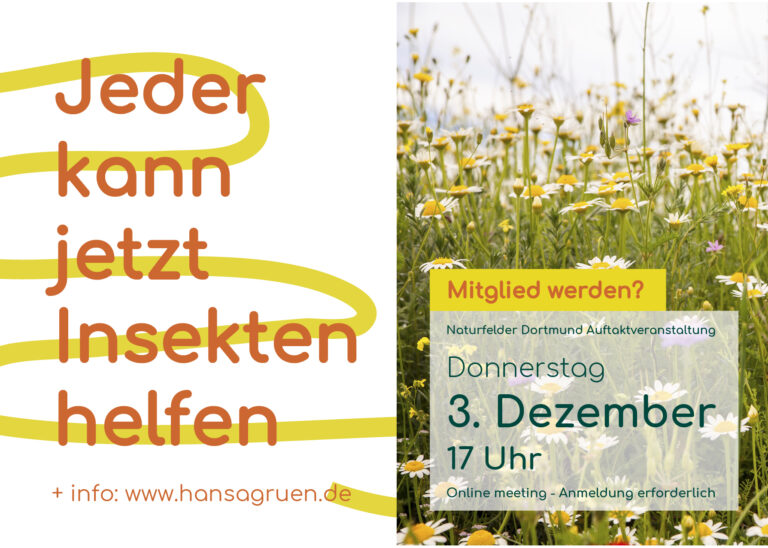 Plakat für Veranstaltung Jeder kann jetzt Insekten helfen am 3. Dezember um 17 Uhr.